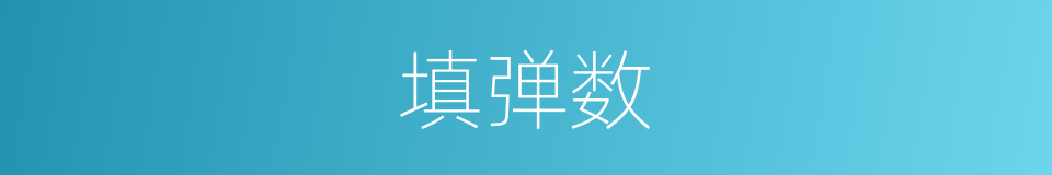 填弹数的同义词