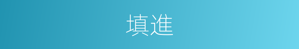 填進的同義詞