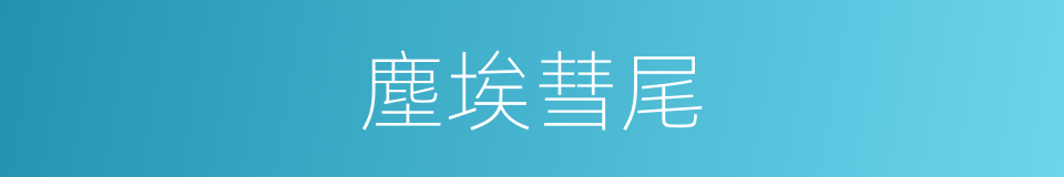 塵埃彗尾的同義詞