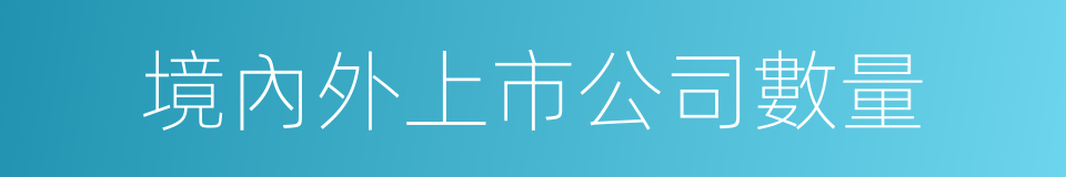 境內外上市公司數量的同義詞