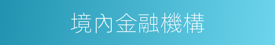 境內金融機構的同義詞