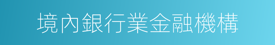 境內銀行業金融機構的同義詞