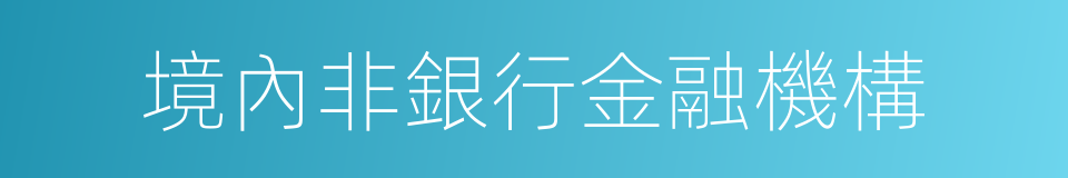 境內非銀行金融機構的同義詞