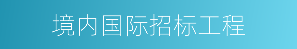 境内国际招标工程的同义词