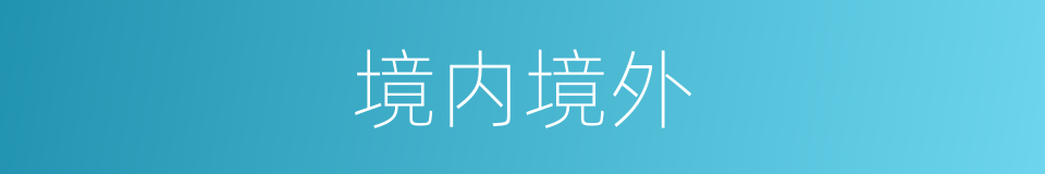 境内境外的同义词