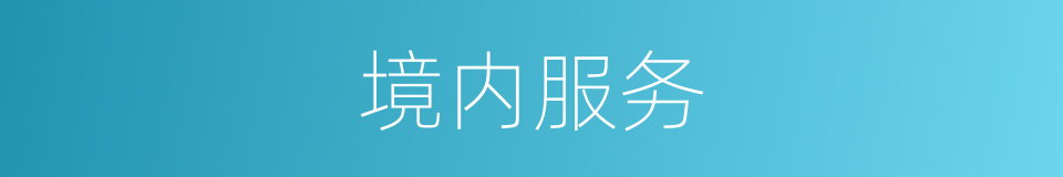 境内服务的同义词