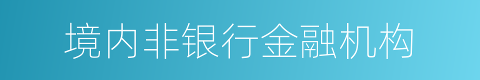 境内非银行金融机构的同义词