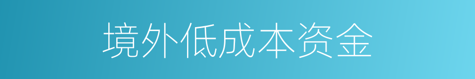 境外低成本资金的同义词