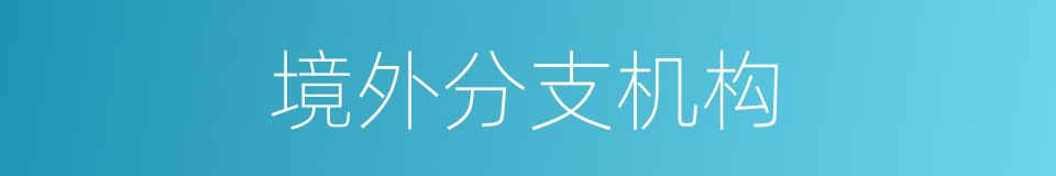 境外分支机构的同义词