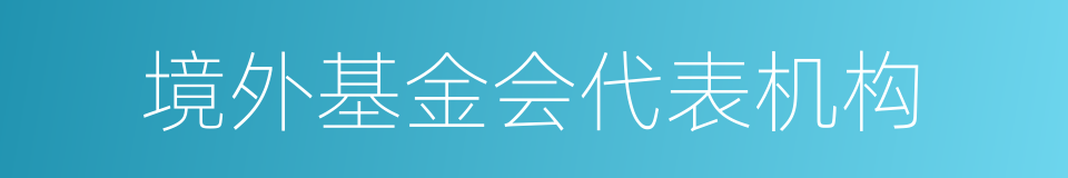 境外基金会代表机构的同义词