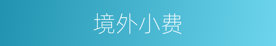 境外小费的同义词