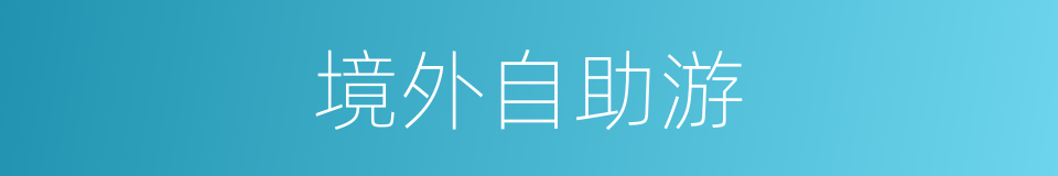 境外自助游的同义词