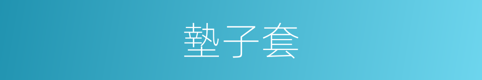 墊子套的同義詞