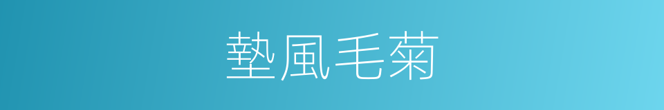 墊風毛菊的同義詞