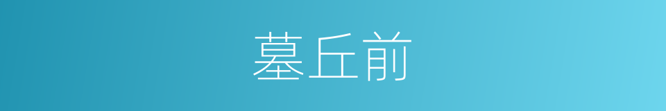 墓丘前的同义词