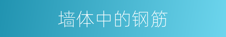 墙体中的钢筋的同义词