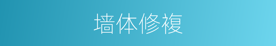 墙体修複的同义词