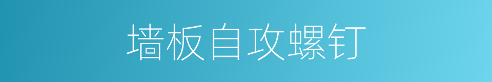 墙板自攻螺钉的同义词