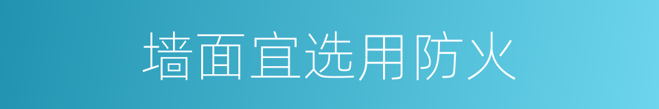墙面宜选用防火的同义词