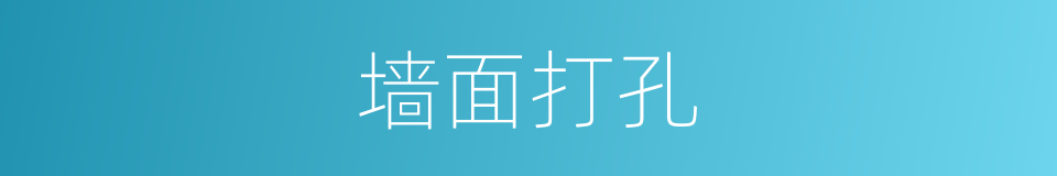 墙面打孔的同义词