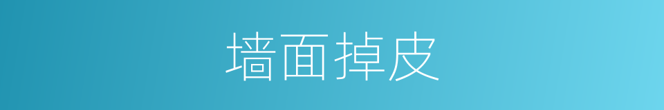 墙面掉皮的同义词