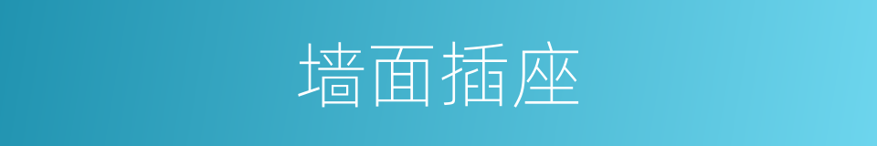 墙面插座的同义词