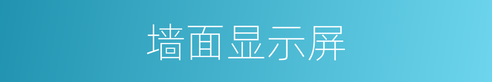 墙面显示屏的同义词