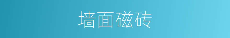 墙面磁砖的同义词