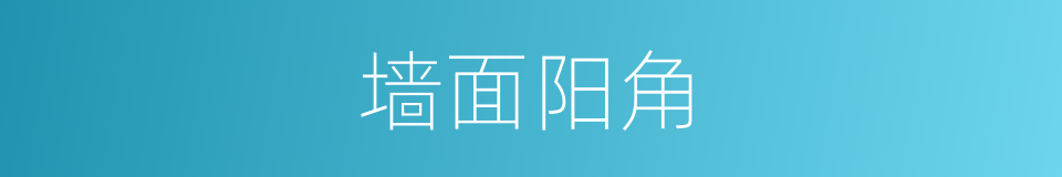 墙面阳角的同义词
