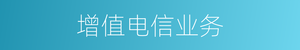 增值电信业务的同义词