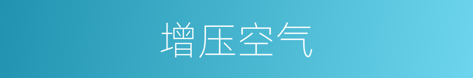 增压空气的同义词