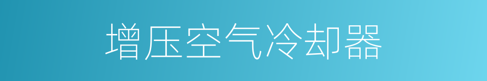 增压空气冷却器的同义词