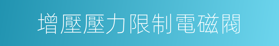 增壓壓力限制電磁閥的同義詞