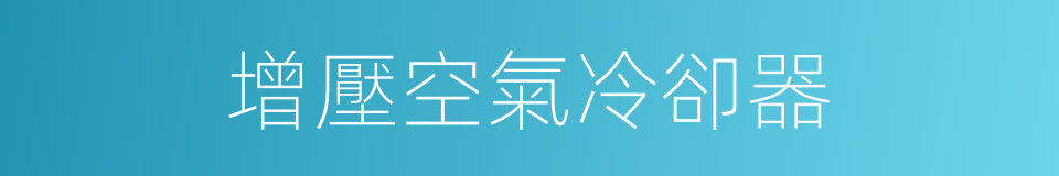 增壓空氣冷卻器的同義詞