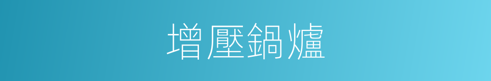 增壓鍋爐的同義詞