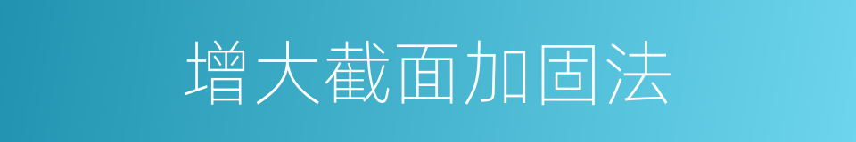 增大截面加固法的同义词