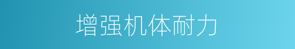 增强机体耐力的同义词
