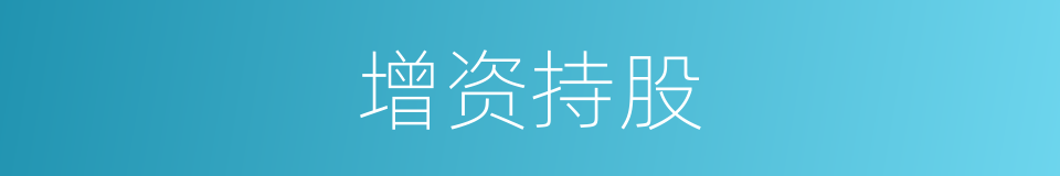 增资持股的同义词