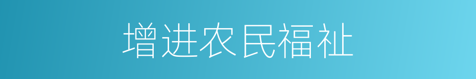 增进农民福祉的同义词