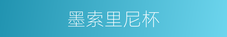 墨索里尼杯的同义词