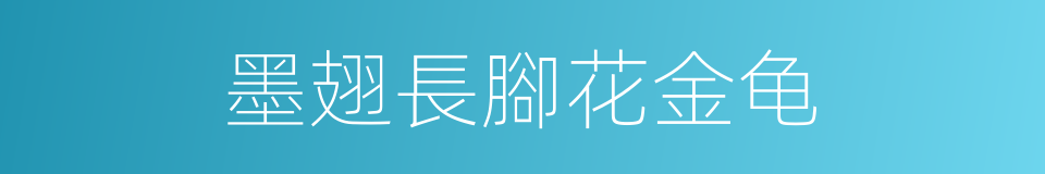 墨翅長腳花金龟的同義詞