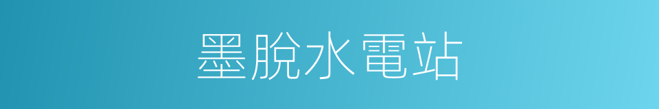 墨脫水電站的同義詞