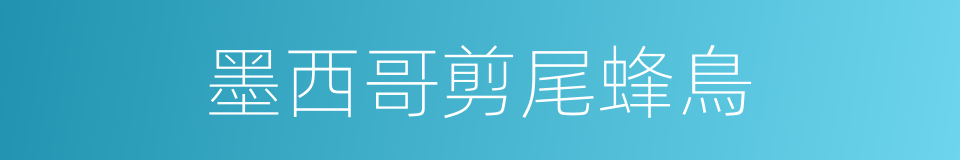 墨西哥剪尾蜂鳥的同義詞