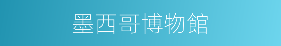 墨西哥博物館的同義詞