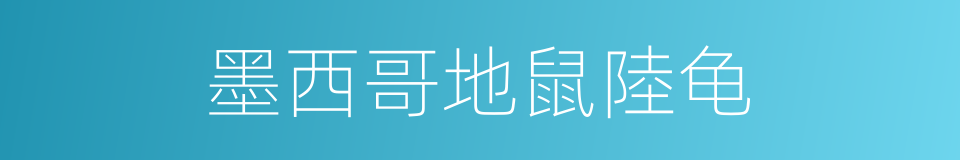 墨西哥地鼠陸龟的同義詞