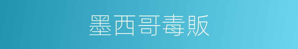 墨西哥毒販的同義詞