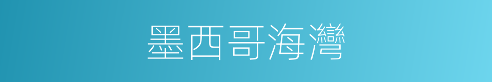 墨西哥海灣的同義詞