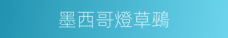 墨西哥燈草鵐的同義詞