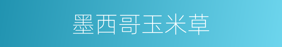 墨西哥玉米草的同义词