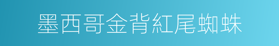 墨西哥金背紅尾蜘蛛的同義詞